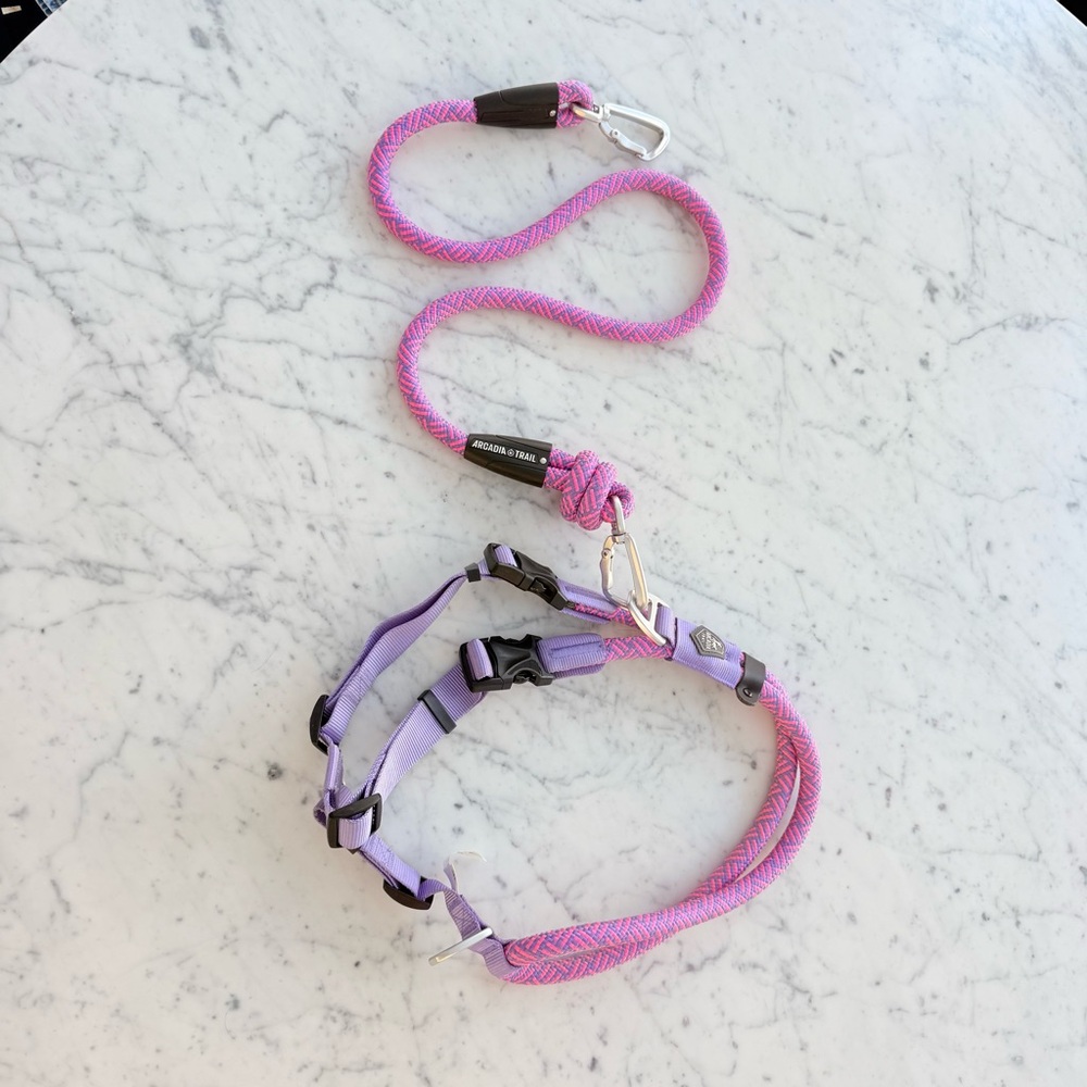 Arcadia Trail rope dog harness and leash in pink and purple